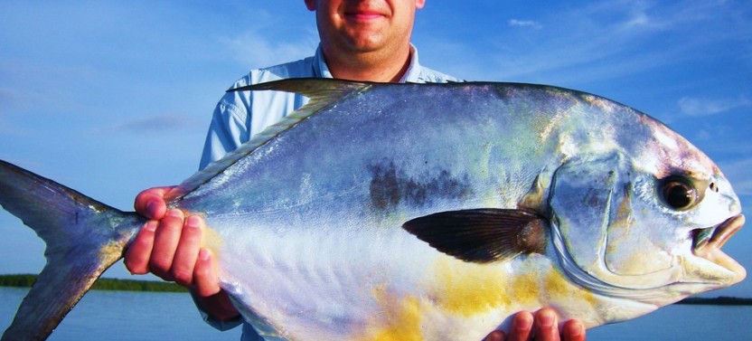 Key Largo Inshore Fishing Trip - 4 Hr
