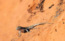 Good Trip Adventures - Southwest3