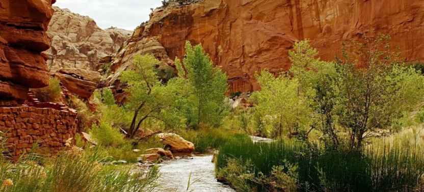 Private Full-Day Hiking & Scenic Canyon Tour in Capitol Reef