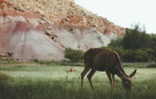 Good Trip Adventures - Southwest3