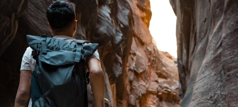 Full-Day Private Hiking Tour with Picnic and Natural History in Zion