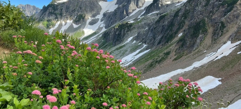Private Full-Day Hiking Adventure in North Cascades National Park