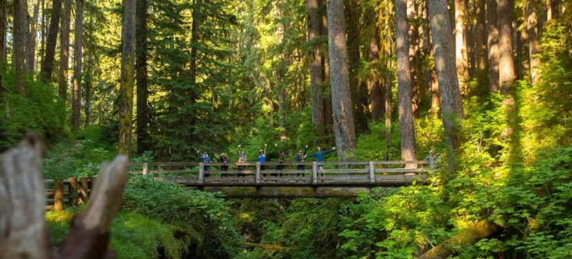 Small Group Olympic National Park Coastal & Hoh Rainforest Tour