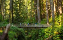 Good Trip Adventures - Pacific Northwest3