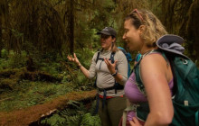 Good Trip Adventures - Pacific Northwest4