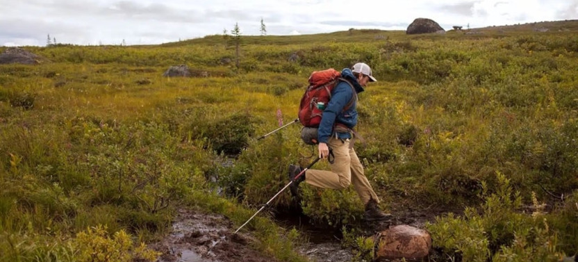Private Full-Day Hiking Adventure in Denali National Park
