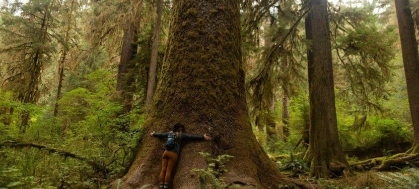 7 Days Washington Olympics and Cascades Adventure
