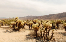 Good Trip Adventures - California2