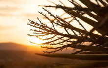 Good Trip Adventures - California4