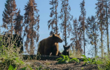 Good Trip Adventures - California3