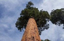 Good Trip Adventures - California2