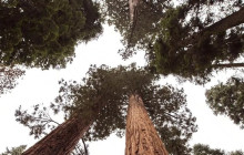 Good Trip Adventures - California3