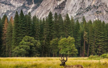 Good Trip Adventures - California11