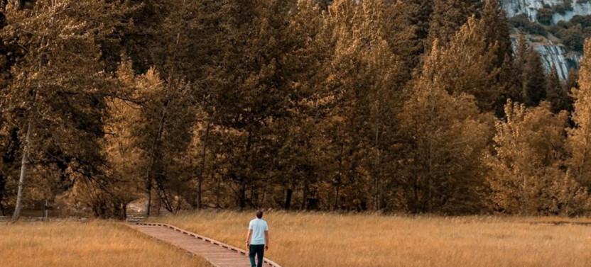 Small Group Full-Day Yosemite Valley Tour with Scenic Hikes