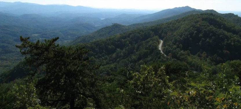 Full-Day Private Hiking & Nature Tour in Great Smoky Mountains