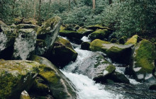 Good Trip Adventures - East Coast4