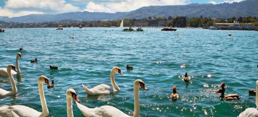 Private Zurich City Tour w/ Lake Zurich Cruise & Lindt Home of Chocolate