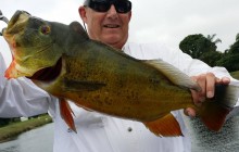 Biscayne Bay Area Peacock Bass Fishing Trip 2024 - Miami