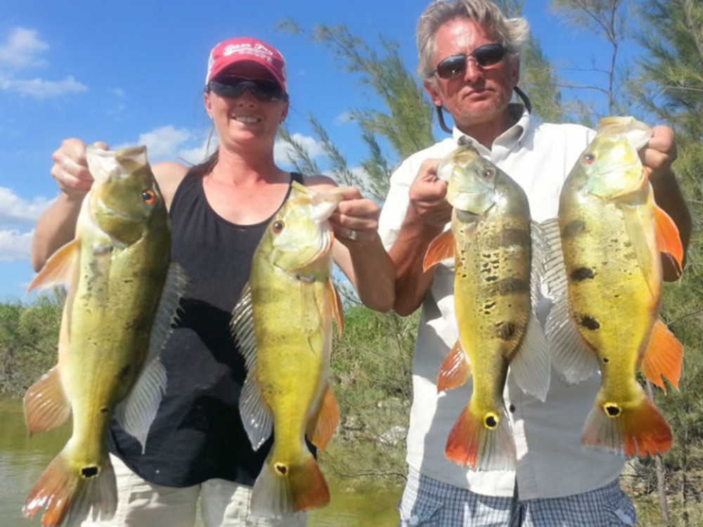 Miami Falls System Fishing Trip - 12 Hr