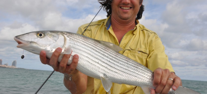 Miami Beach Inshore 4 Hour Fishing Trip