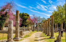 Athena Private Tours1