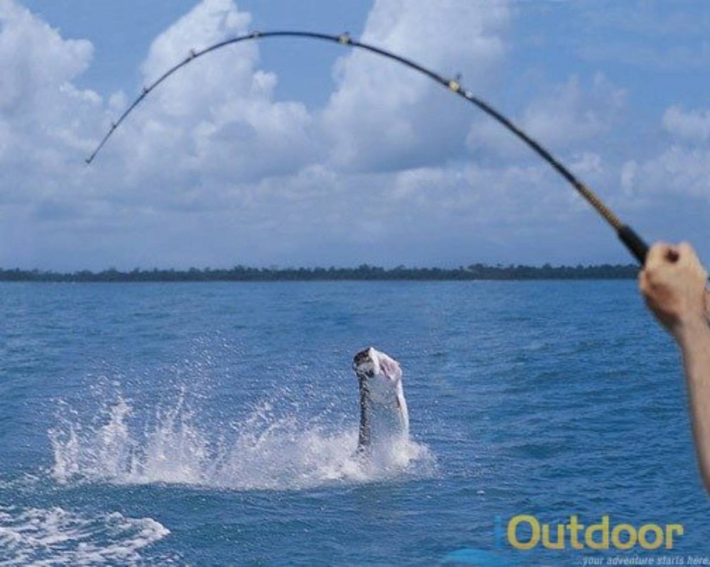 Miami Tarpon 8 Hour Fishing Trip