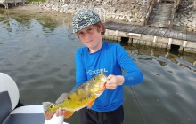 iOutdoor Fishing Adventures4