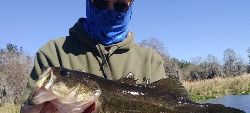 St Johns River Palatka Fishing Trip - 6 Hrs