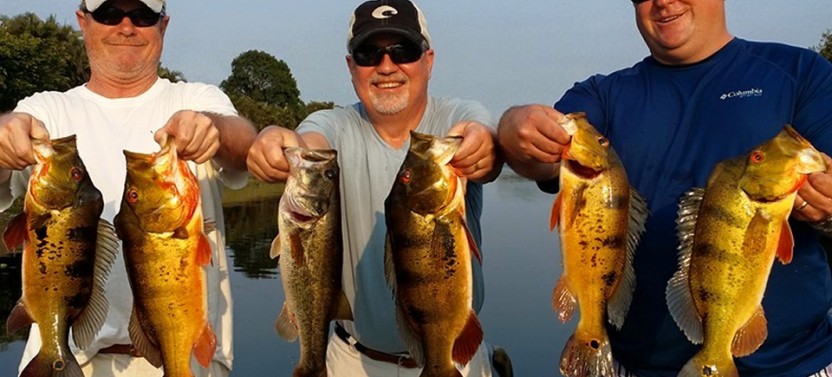 Lake Osborne Guided Fishing Trip - 4 Hrs