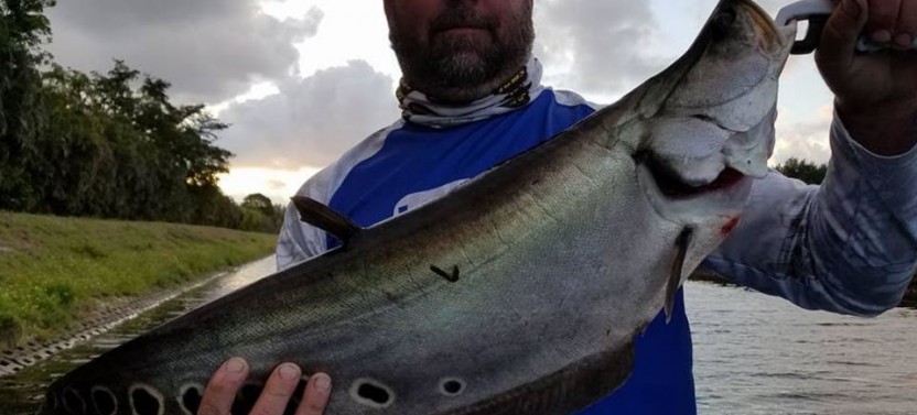 Lake Osborne Guided Fishing Trip - 4 Hrs