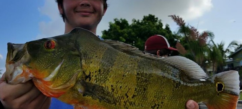 Lake Osborne Guided Fishing Trip - 4 Hrs