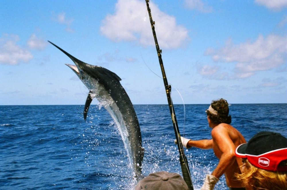 Pompano Beach Offshore Fishing Trip - 6 Hr