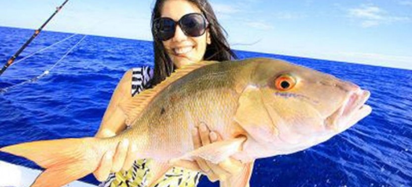 St Petersburg Inshore Fishing Trip - 4 Hr