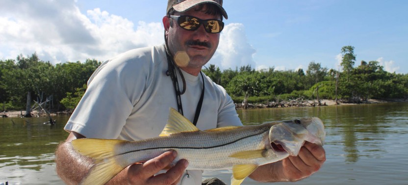 St Petersburg Inshore Fishing Trip - 4 Hr