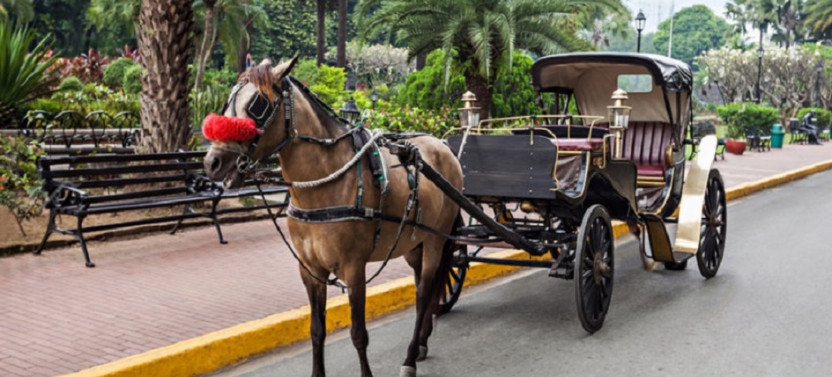 Luxor City Tour by Horse Carriage
