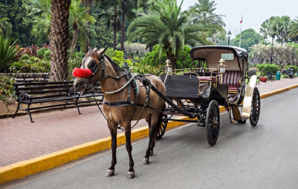 Luxor City Tour by Horse Carriage