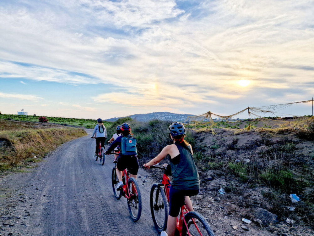 Santorini Wine Country e-Bike Tour Experience