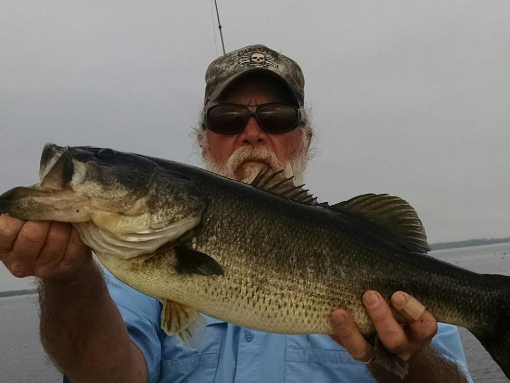 Lake Seminole Fishing Trip - 4 Hrs