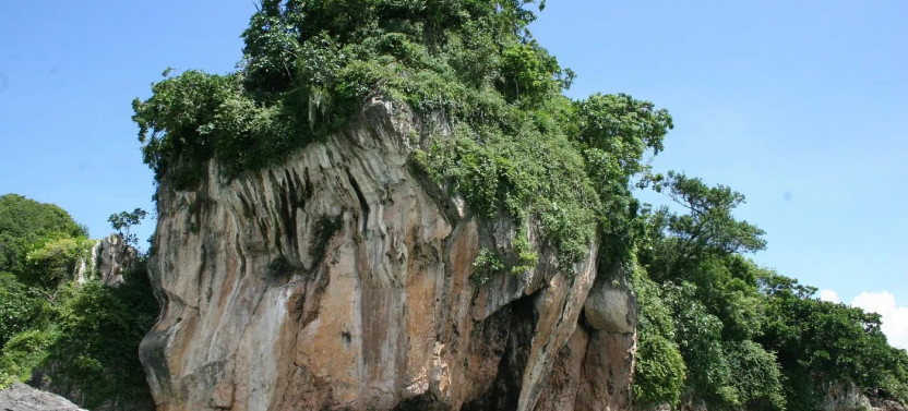 Los Haitises Park+Montaña Redonda+Yanigua Waterfall Tour (German Guide)