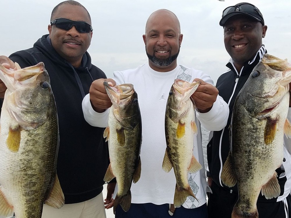 Lake Tarpon Fishing Trip 4 Hrs Tampa Project Expedition