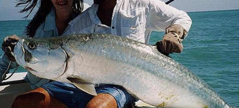 Tampa Inshore Fishing Trip - 4 Hr