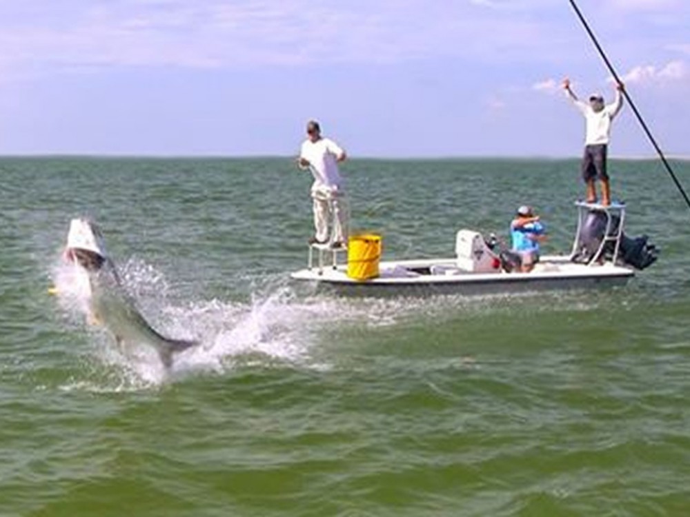 Tampa Inshore Fishing Trip - 6 Hr