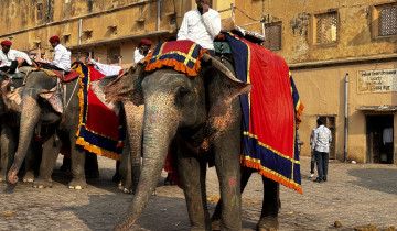 A picture of Delhi Agra 3 Days Tour Package