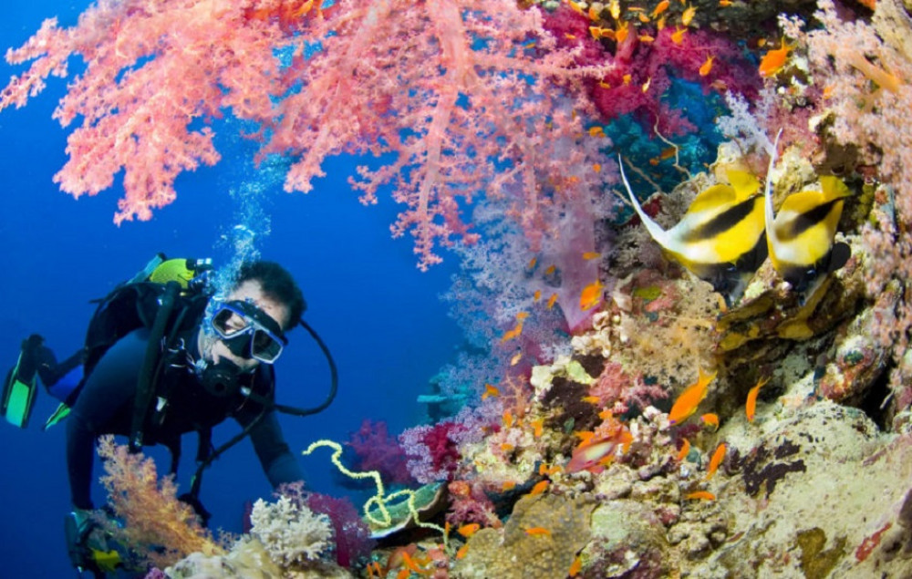 Day Scuba Diving Tour From Sharm El Sheikh