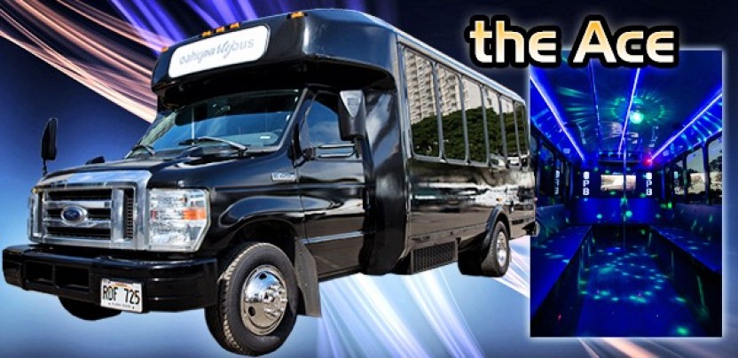 The Ace Bus