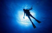 Deep Diver - 4 dives incl. books
