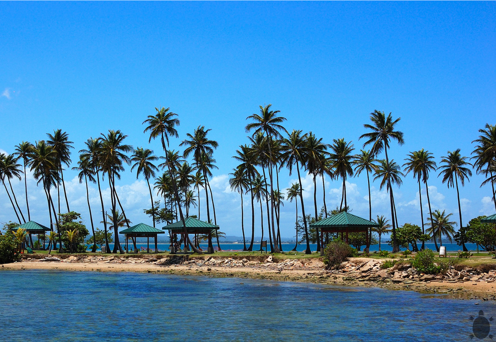 Isle de Cabras Unique Things to Do in Puerto Rico