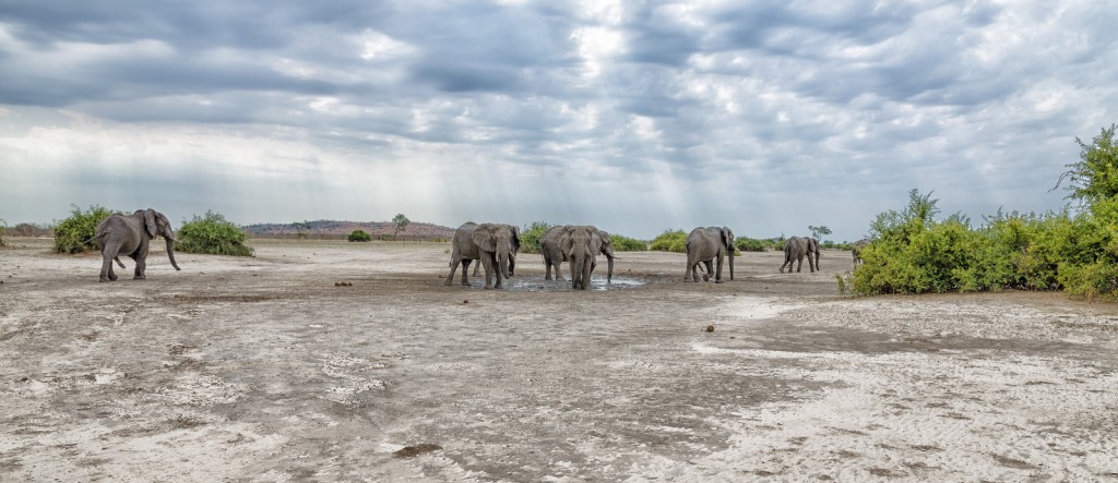 Chobe National Park