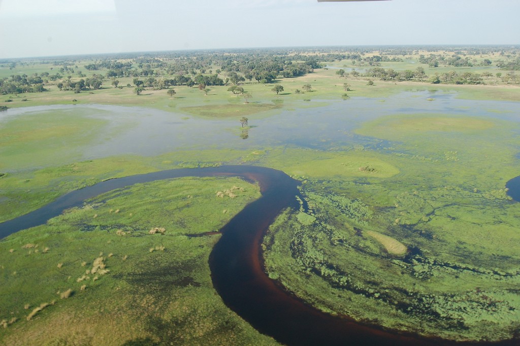 The Okavango Delta. 