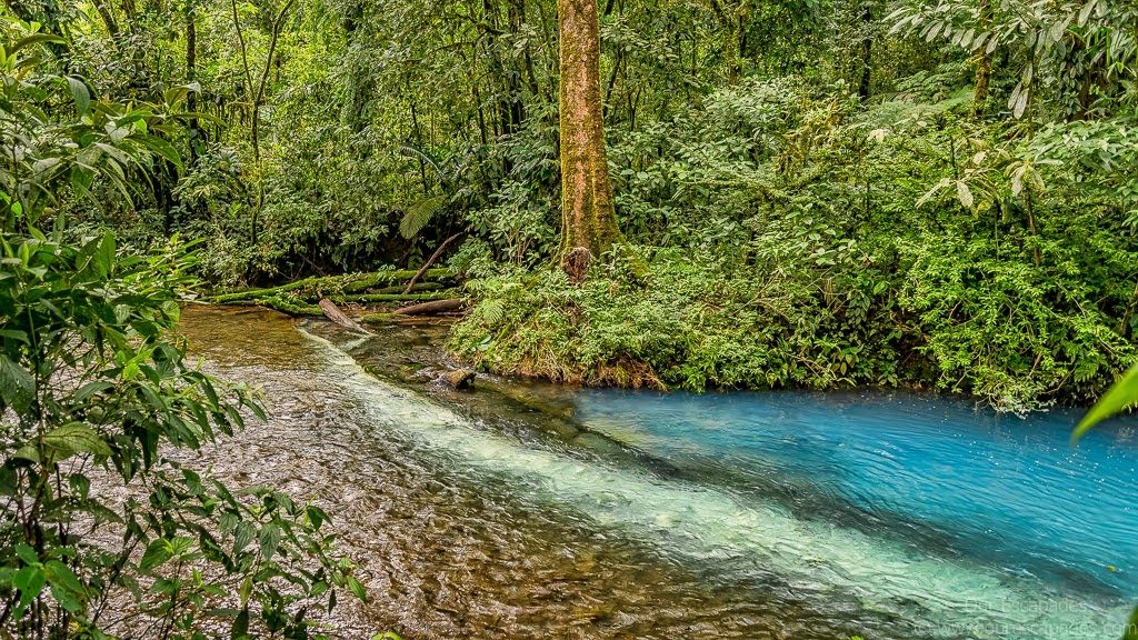 Our Escapades - Rio Celeste-8